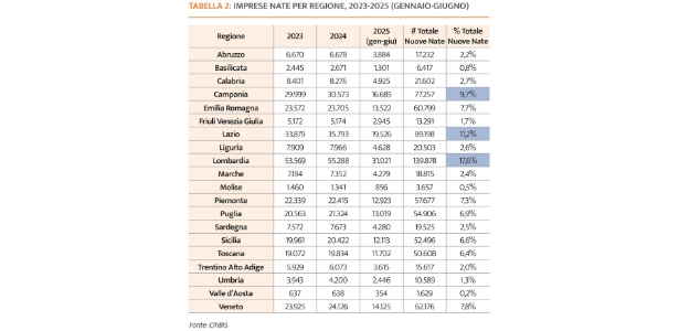 osservatorio imprese in evoluzione 2025