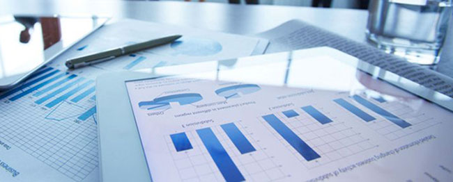 Banca dItalia Studio NPL