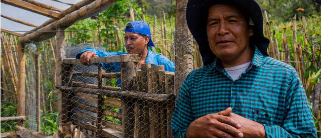 BCC microfinanza campesina