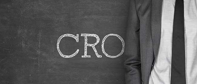 Chief risk officer banca