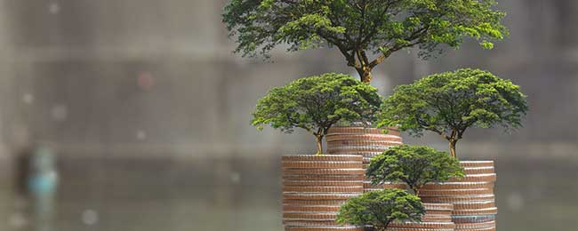 Green investimenti ESG