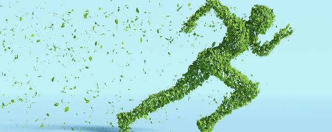 GS Global ESG Enhanced Income Bond Portfolio