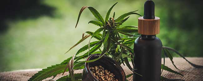 Investire nella cannabis