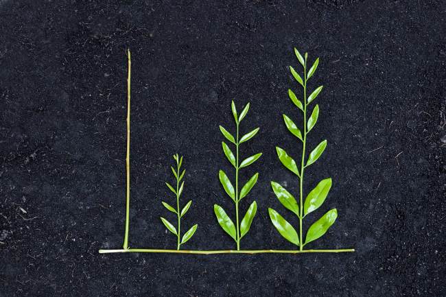 Sostenibilit&agrave; news