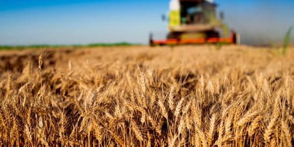 CRIF andamento settore agroalimentare