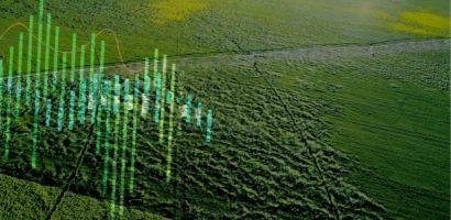 Debutta Scale-Up Program